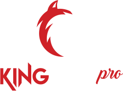 Logo King4kPlayer